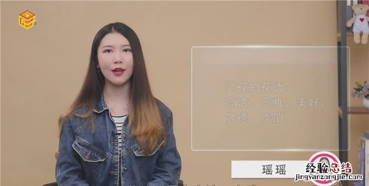 兰花的花语是什么