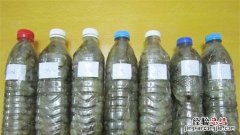 活虾可以放矿泉水瓶保存，买回家的活虾怎么保存时间长