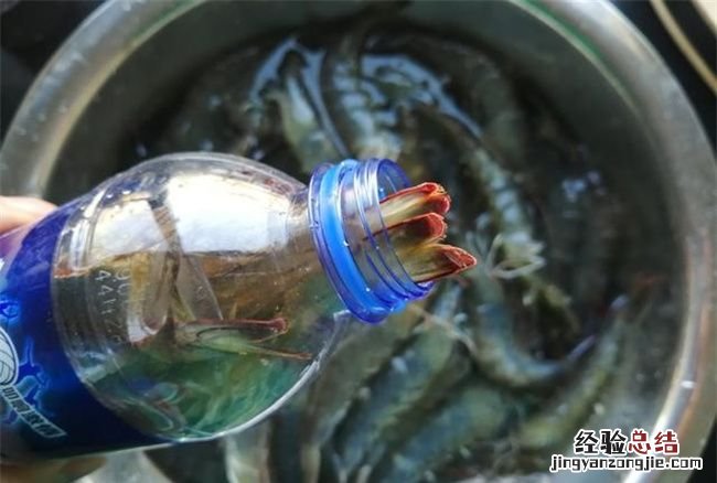 活虾可以放矿泉水瓶保存，买回家的活虾怎么保存时间长