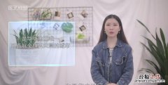 武汉哪些地方好玩，武汉有什么好玩的地方