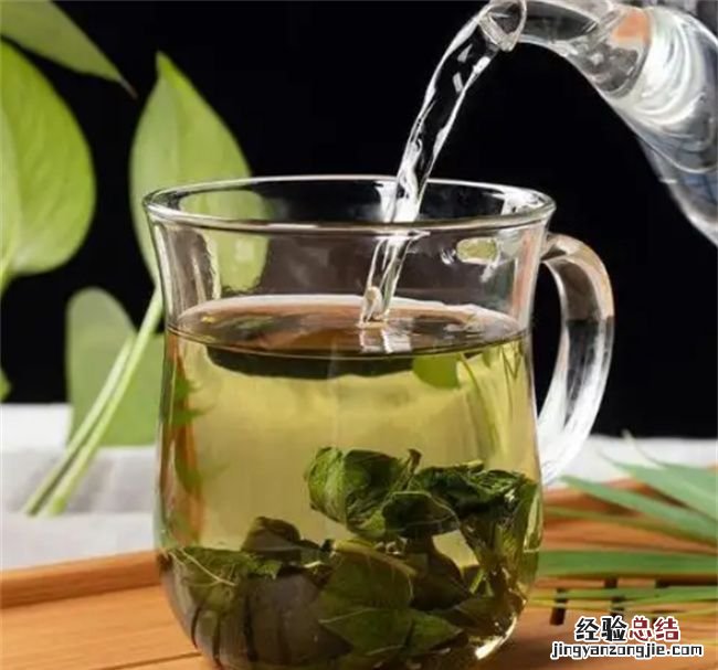 桑叶茶的功效与作用,湿气重的人能喝桑叶茶