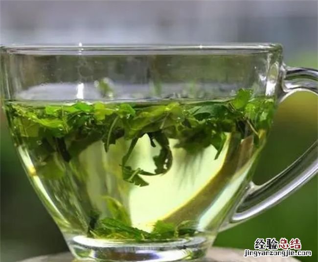 桑叶茶的功效与作用,湿气重的人能喝桑叶茶
