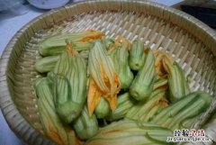 南瓜花的功效是怎么样的，南瓜花的功效与作用及食用方法