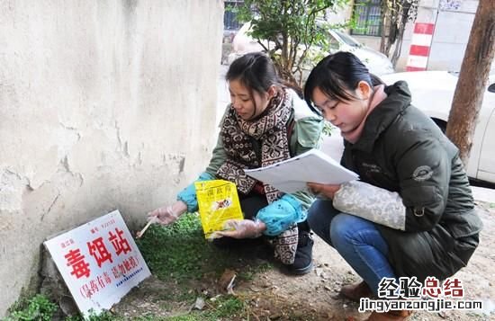 田里老鼠怎么消灭最快 种的菜被老鼠吃了怎么办