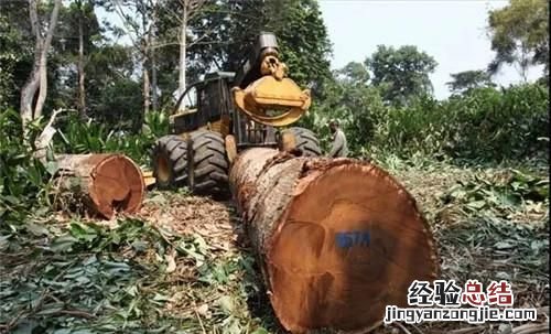工厂车间生产提高效率的方法 工厂提高生产效率的方法有哪些