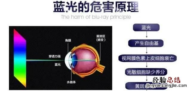 什么是蓝光 蓝光对眼睛有什么危害