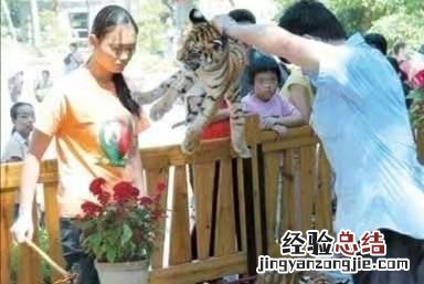 虐待动物会收到什么惩罚,绍兴幼狗装袋挂树上被女子散步时救下