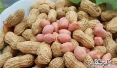 糖尿病人可以吃花生，得了糖尿病怎么控制血糖