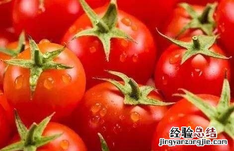 西红柿冷藏还是常温保存好,西红柿一般是冷藏还是常温保存