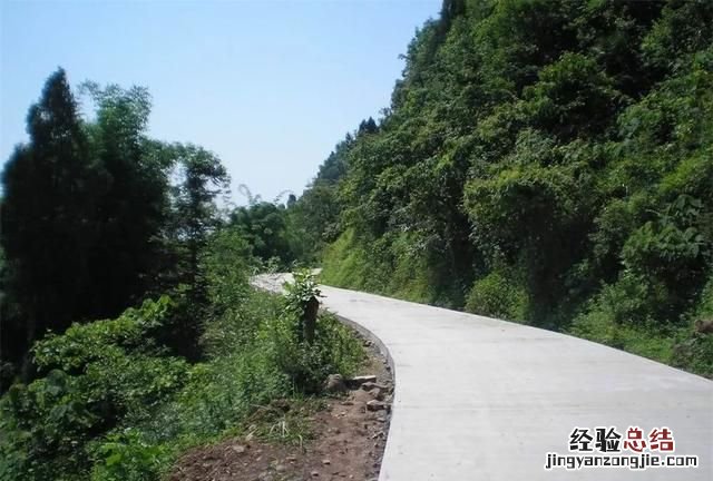 农村水泥路和柏油路哪个好,柏油路和水泥路有什么区别