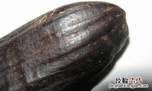 一两沉香一两金 为什么真的奇楠沉香那么贵