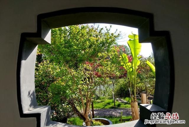 盆栽花卉干透浇透见干见湿怎么解释呢
