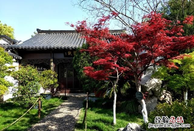 盆栽花卉干透浇透见干见湿怎么解释呢