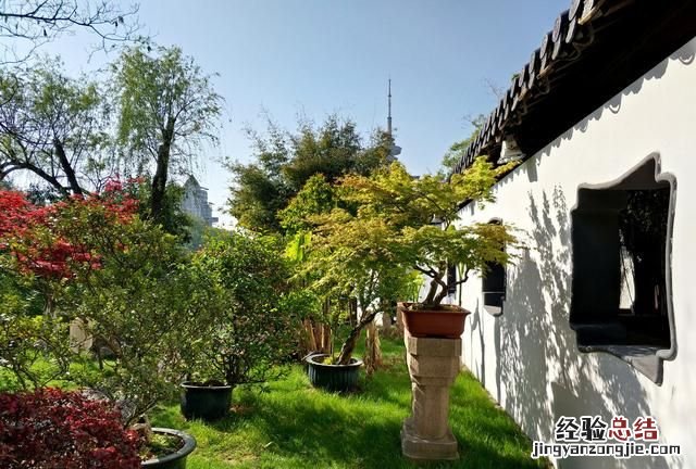 盆栽花卉干透浇透见干见湿怎么解释呢