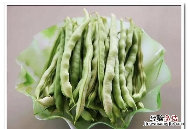 补铁吃什么食物好