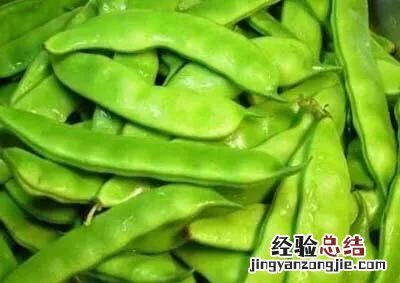 补铁吃什么食物好