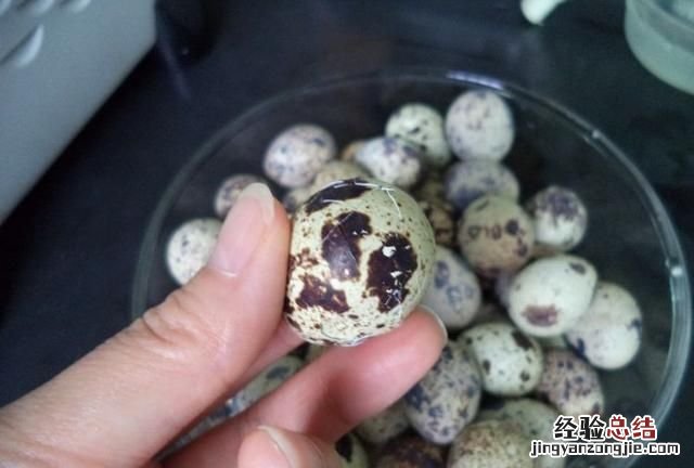 怎么煮鹌鹑蛋进味