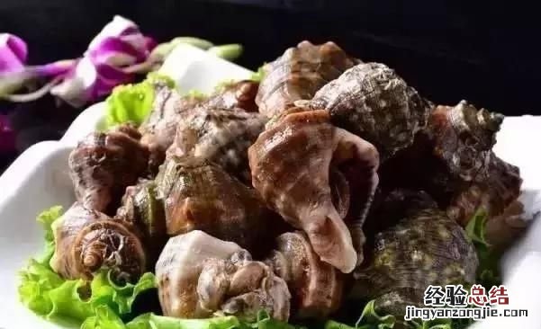 大海螺怎么煮才能挑出来 大海螺怎么煮好吃