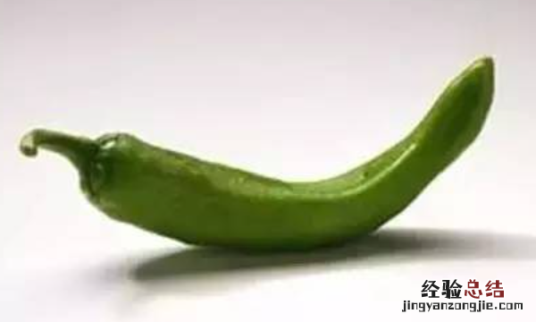 哪些食物不宜放进冰箱，0种绝对不能放冰箱的食物有哪些