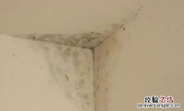 如何去除墙上霉斑霉迹,墙上霉斑怎么去除小窍门