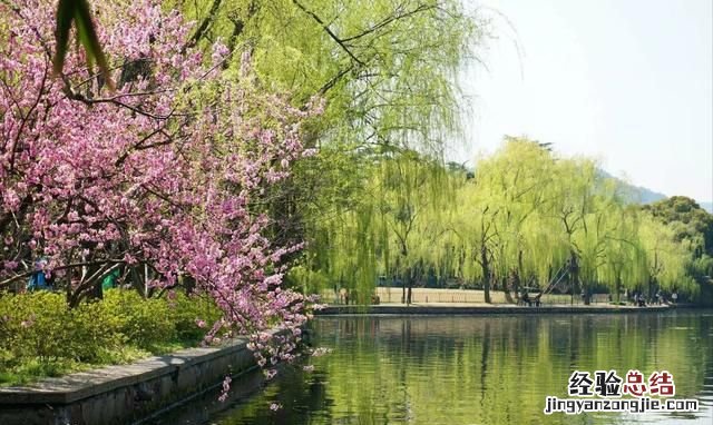 西泠印社属于西湖十景的哪一景 西湖十景你最喜欢哪一景