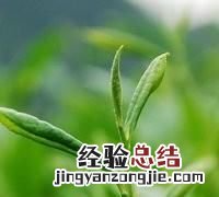 茶叶店没生意怎么办 如何做茶叶生意