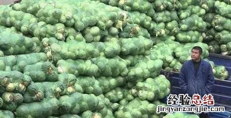 蔬菜批发生意怎么做才能快速成功