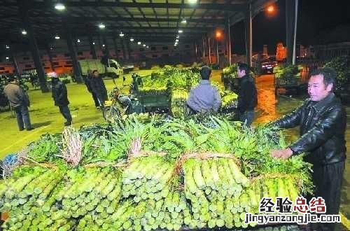 蔬菜批发生意怎么做才能快速成功