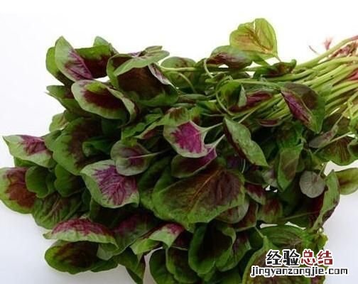 蔬菜批发生意怎么做才能快速成功