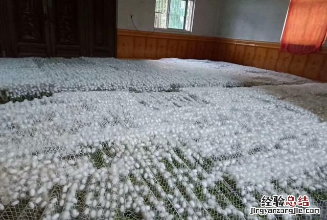 蚕丝被好不好,蚕丝被好不好用啊
