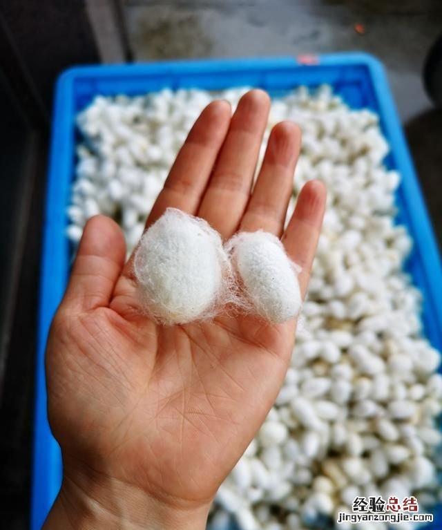 蚕丝被好不好,蚕丝被好不好用啊