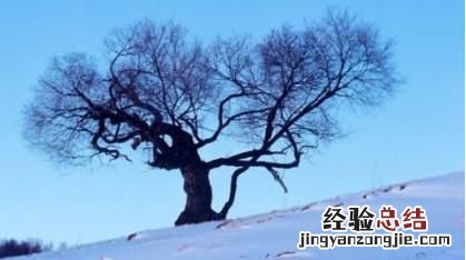 2018年的三九天是几号开始,21年三九天从哪天开始算