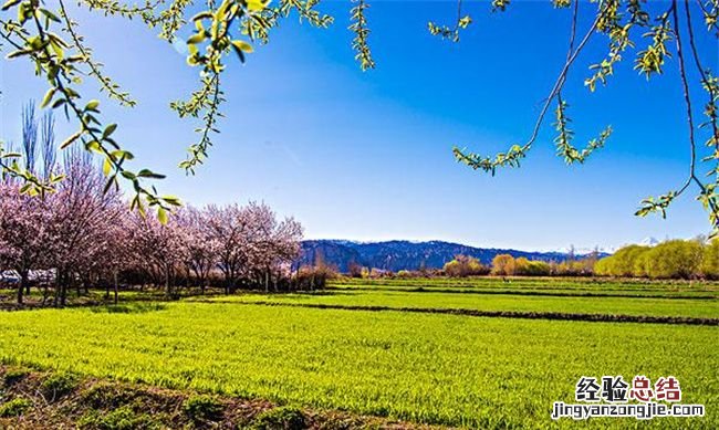 北方七九还冷吗,2023过完春节天气暖和了