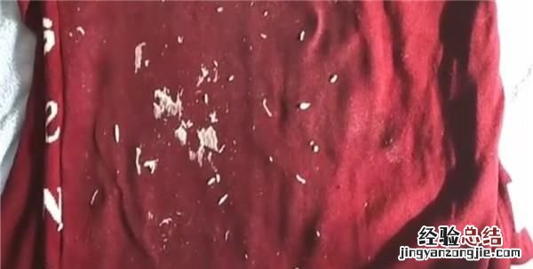 洗衣服时不小心把纸巾一起洗了怎么去除碎纸屑