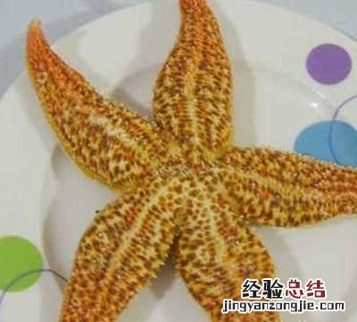 海星能吃吗是不是有毒 海星能吃吗