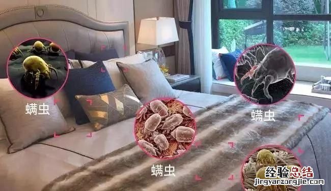 床上除螨虫的最快方法花露水,如何除螨虫床上除螨虫的最快方法
