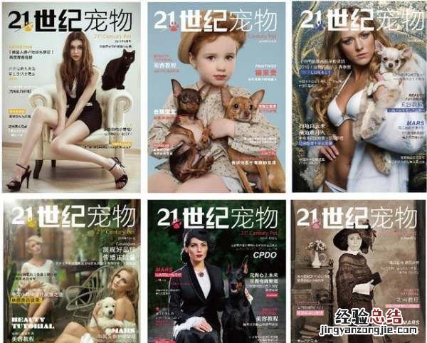 宠物湿粮和干粮区别,猫吃湿粮好还是吃干粮好呢
