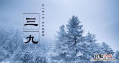 23年的三九天是什么时候，三九天是几号开始几号结束