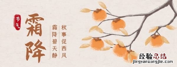 霜降时应该吃哪些食物,霜降节气吃什么养生食物