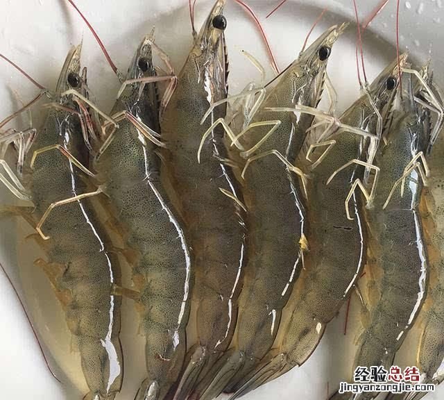 市场上买的大虾是淡水还是海水的