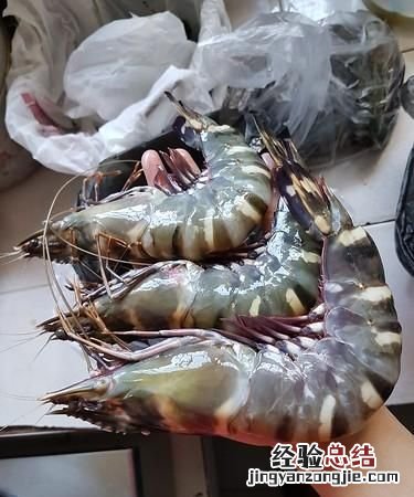 市场上买的大虾是淡水还是海水的