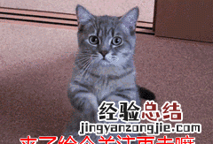 瑞士真的有瑞士卷吗