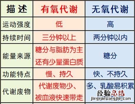 有氧运动和无氧运动分别有什么,有氧运动和无氧运动可以天天做吗