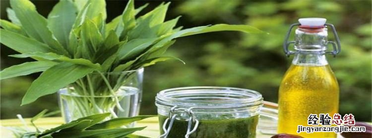 橄榄油跟菜子油的区别