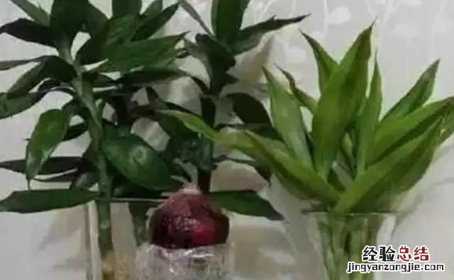 小苏打有哪些用途