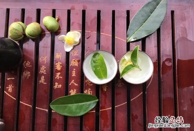 青茶属于什么茶种类 如何选择适合自己的茶叶