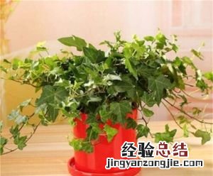 房间有异味怎么办