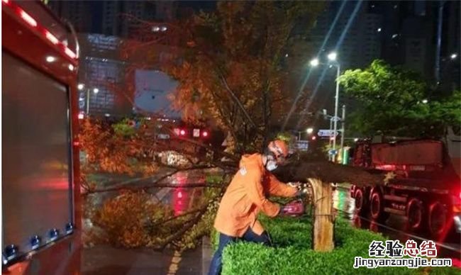 超强台风南玛都，日本遭遇数十年来最具破坏力台风