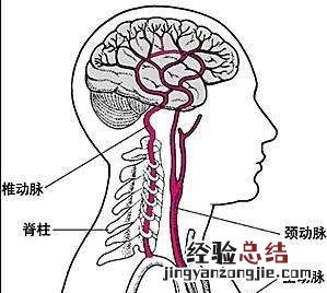 脑供血不足会降低智力吗，脑供血长期不足会影响智商