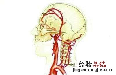 脑供血不足会降低智力吗，脑供血长期不足会影响智商